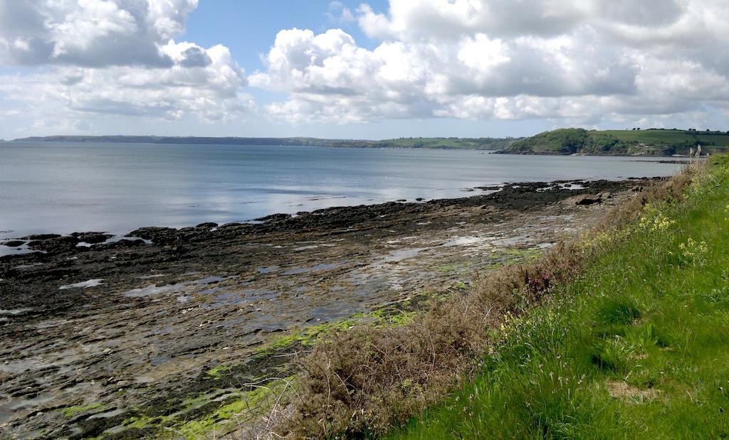 Madeira Hotel Falmouth Luaran gambar